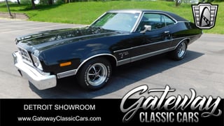 1973 Ford Gran Torino 